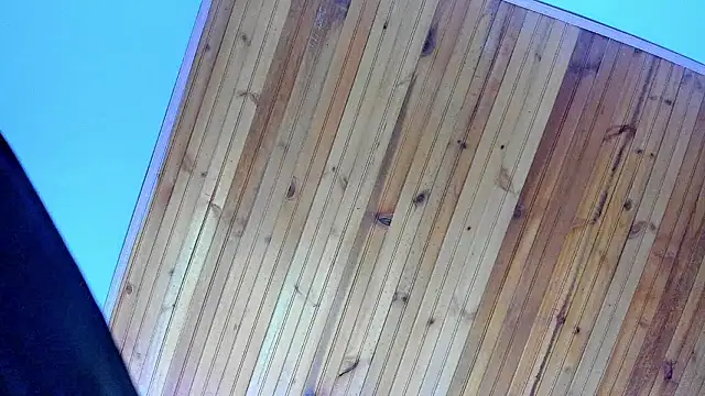 Snapshot of Angel_kanon chatting on February 28, 2026, 12:28 pm Angel kanon online show from February 28, 2026, 12:28 pm