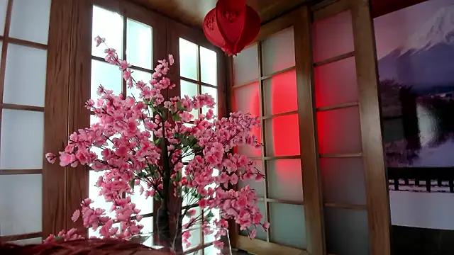 miss   abigail online show from February 9, 2026, 2:04 am