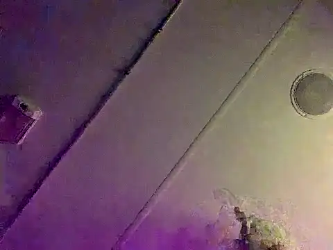 shakeweight online show from February 10, 2026, 11:03 am