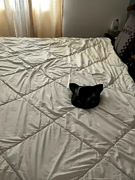 LesAmantsAE2 online show from October 11, 2025, 8:13 am