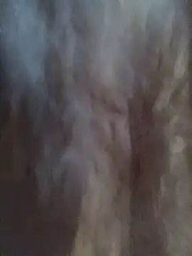 Hott Muskan online show from September 28, 2025, 11:59 am