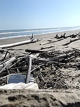 pegaso369 online show from March 28, 2026, 11:10 am