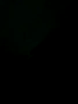 Liendro online show from November 20, 2025, 1:39 am