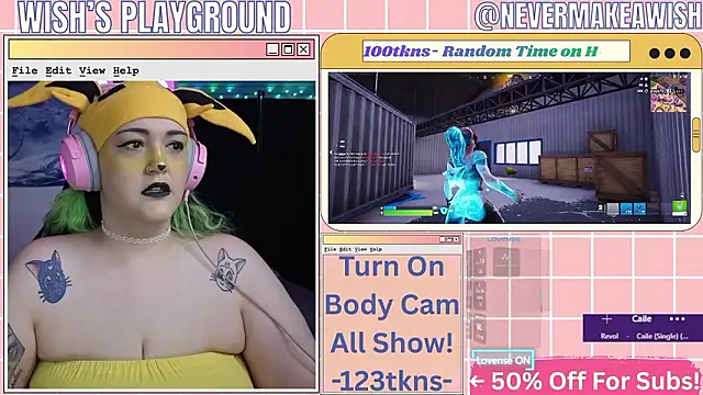 Snapshot of nevermakeawish chatting on February 17, 2026, 3:40 pm nevermakeawish online show from February 17, 2026, 3:40 pm