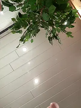 DreamThickCouple online show from April 2, 2026, 9:01 pm