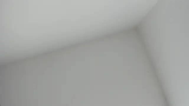 VioletRose as online show from November 16, 2025, 8:36 pm