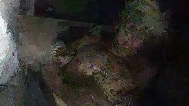 Snapshot of IsAparty chatting on October 11, 2025, 5:28 am IsAparty online show from October 11, 2025, 5:28 am