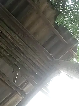 CoMay003 online show from April 2, 2026, 5:27 am