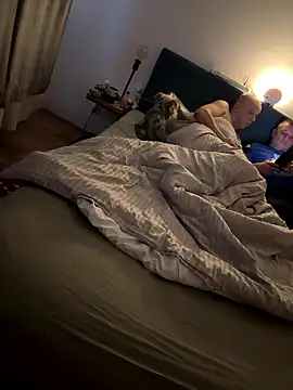 Jaropol online show from January 12, 2026, 6:40 am