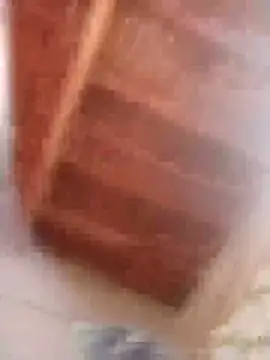 HOT-MUNDA online show from February 9, 2026, 9:02 am