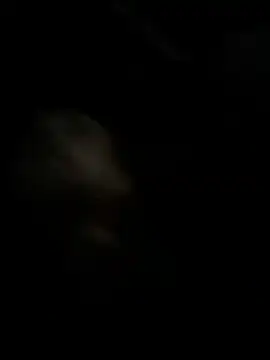 high3ndlowlife online show from November 27, 2025, 2:13 am