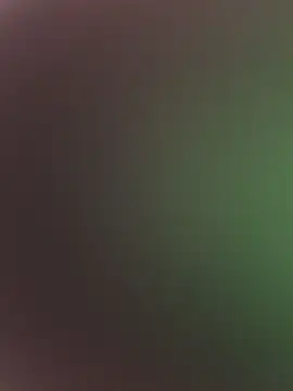 high3ndlowlife online show from February 17, 2026, 7:31 pm