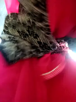 Juhi chawla online show from December 4, 2025, 1:59 am