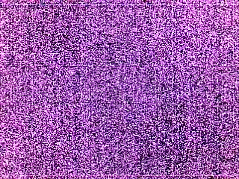 elturcudito online show from June 29, 2026, 9:26 am