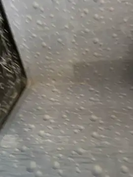 NoddingScorpion online show from November 25, 2025, 8:58 am