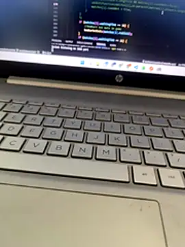 NoddingScorpion online show from November 29, 2025, 10:07 am