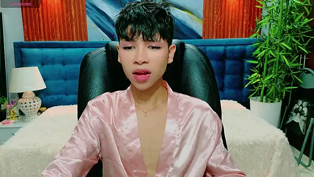 dilan 911 online show from February 20, 2026, 6:30 pm