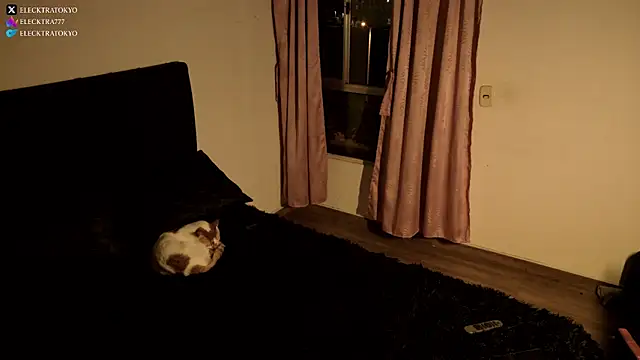 Snapshot of alexxatokyo chatting on October 26, 2025, 8:42 am alexxatokyo online show from October 26, 2025, 8:42 am