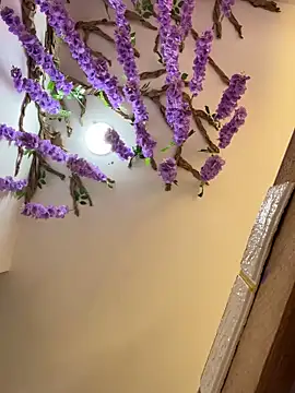 burbuja02 online show from April 4, 2026, 2:36 pm