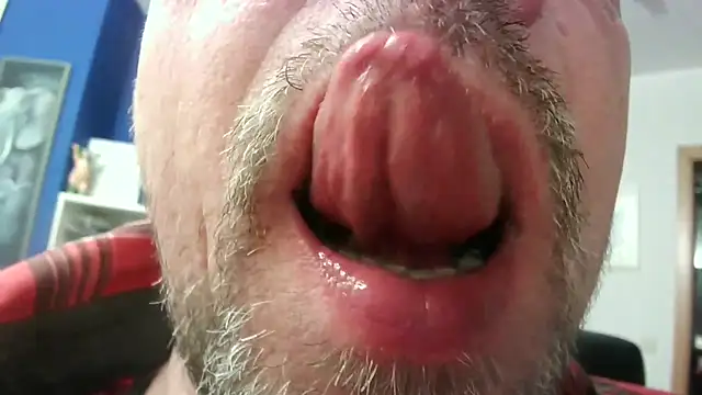 Snapshot of circus_bear@xh chatting on November 23, 2025, 6:46 am circus bearxh online show from November 23, 2025, 6:46 am