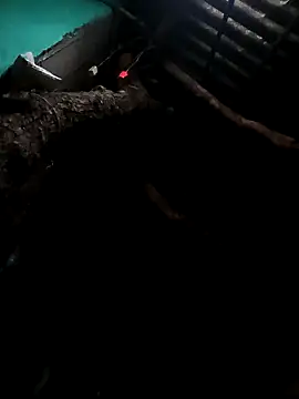 Suhana pandit online show from September 29, 2025, 9:19 pm