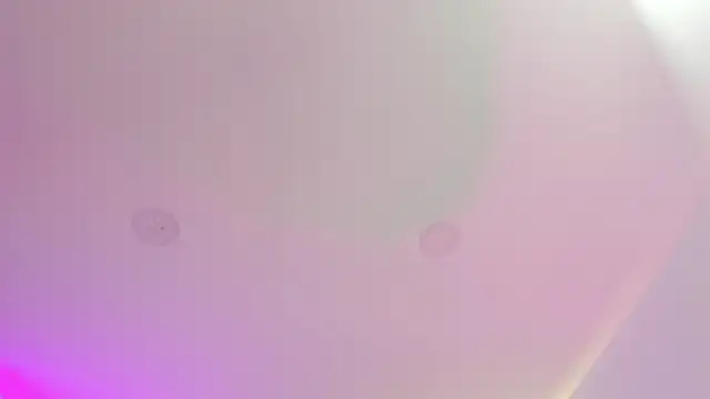 Cherrydollxx online show from September 25, 2025, 11:58 am