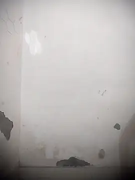 sassyy poonam online show from October 11, 2025, 8:13 am