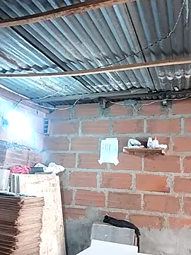 hoteder online show from December 17, 2025, 1:28 pm