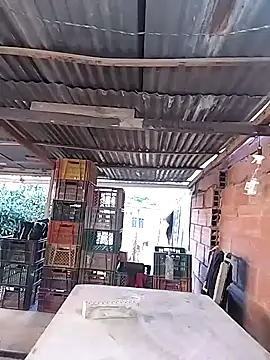 hoteder online show from February 11, 2026, 12:10 pm