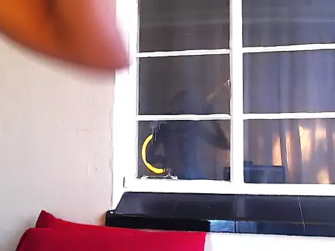 Snapshot of PetiteEbonyBabe chatting on October 9, 2025, 7:28 am PetiteEbonyBabe online show from October 9, 2025, 7:28 am