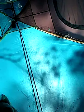 PainPriness online show from September 29, 2025, 6:35 pm