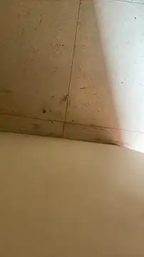 Snapshot of longfuckk chatting on December 2, 2025, 5:46 am longfuckk online show from December 2, 2025, 5:46 am