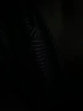 P E R V I T I N online show from March 31, 2026, 11:05 pm