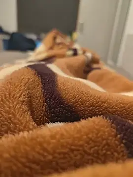 Snapshot of ASL70 chatting on November 11, 2025, 8:14 am ASL70 online show from November 11, 2025, 8:14 am