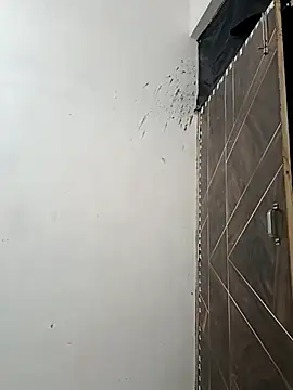 NoxiousFilename online show from October 5, 2025, 3:43 pm