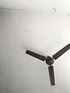 NoxiousFilename online show from October 7, 2025, 3:58 am