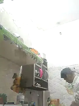 NoxiousFilename online show from October 12, 2025, 2:27 pm