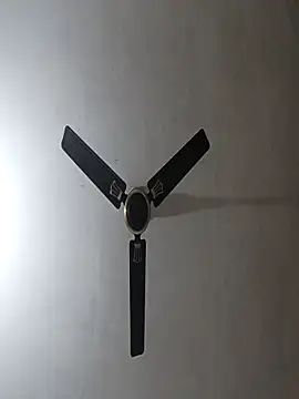 NoxiousFilename online show from November 10, 2025, 5:50 am