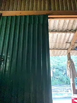 PhanHaa online show from October 2, 2025, 9:49 am