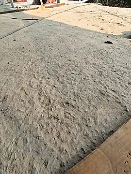 Snapshot of UP16LT5355 chatting on November 23, 2025, 7:41 am UP16LT5355 online show from November 23, 2025, 7:41 am