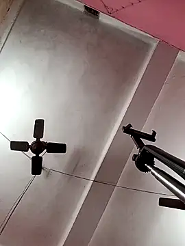 Panchi2 online show from November 3, 2025, 4:14 am