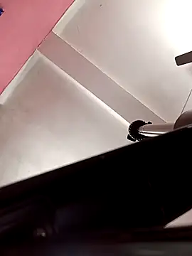 Panchi2 online show from November 12, 2025, 4:13 am