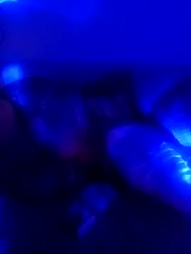 Snapshot of senacansu chatting on October 26, 2025, 2:50 am senacansu online show from October 26, 2025, 2:50 am