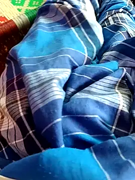 dolphiinn online show from November 14, 2025, 5:50 am