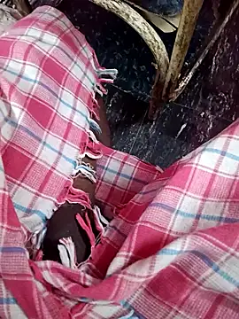 dolphiinn online show from January 13, 2026, 2:22 pm