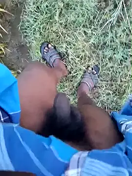 dolphiinn online show from January 19, 2026, 1:09 am