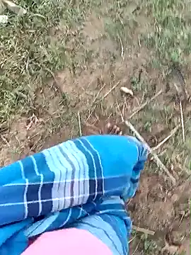 dolphiinn online show from March 20, 2026, 2:05 am