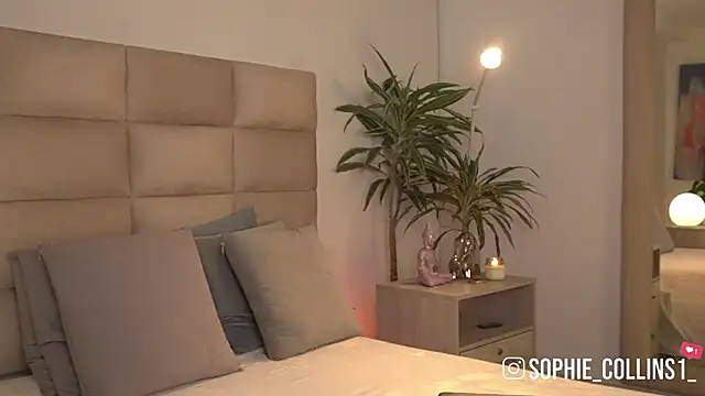 Snapshot of SophieCollins_1 chatting on June 1, 2026, 11:56 am SophieCollins 1 online show from June 1, 2026, 11:56 am