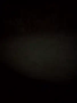 RevokingWaverer online show from February 3, 2026, 12:10 pm