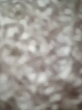 Markroco696 online show from September 14, 2025, 10:03 am